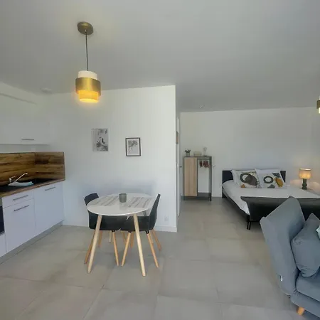 Appart'ici 1 - Spacieux Pmr Apart Otel