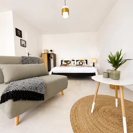 Appart'ici 1 - Spacieux Pmr Apart Otel